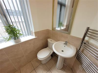 Picture 7